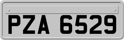 PZA6529