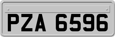 PZA6596