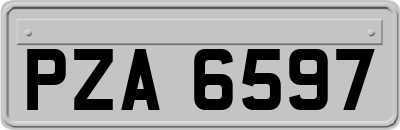 PZA6597