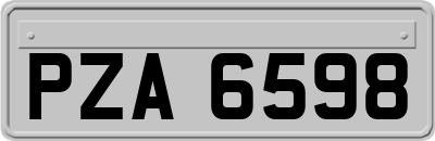 PZA6598
