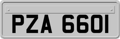 PZA6601