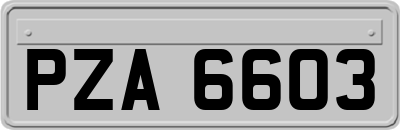 PZA6603