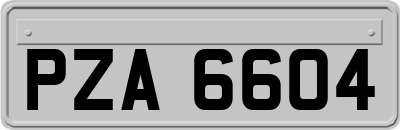 PZA6604