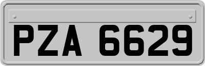 PZA6629