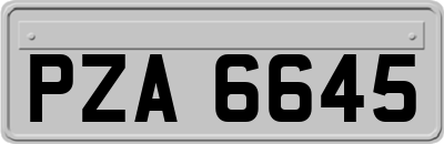 PZA6645