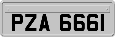 PZA6661