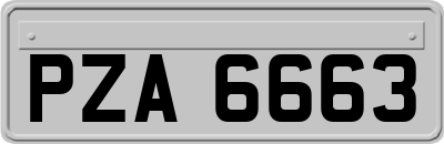 PZA6663