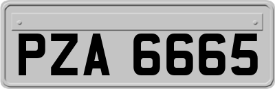 PZA6665