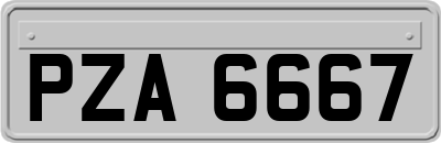 PZA6667
