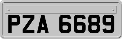 PZA6689