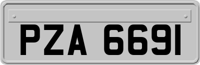 PZA6691