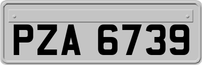 PZA6739