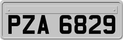 PZA6829