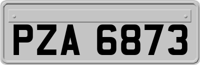 PZA6873
