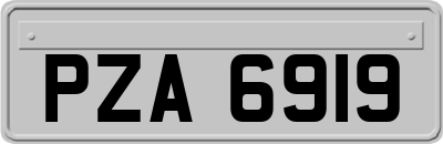 PZA6919