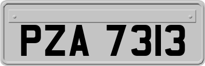PZA7313