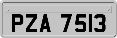 PZA7513