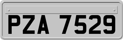 PZA7529