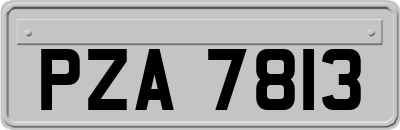 PZA7813