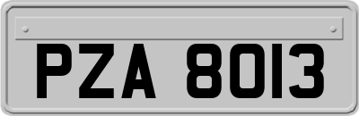 PZA8013