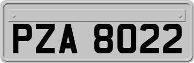 PZA8022
