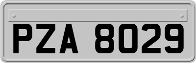 PZA8029