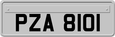 PZA8101