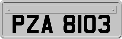 PZA8103