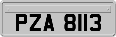 PZA8113