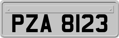 PZA8123