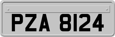 PZA8124