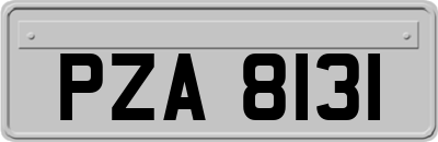 PZA8131