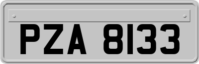 PZA8133