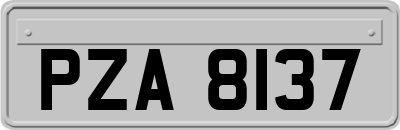 PZA8137