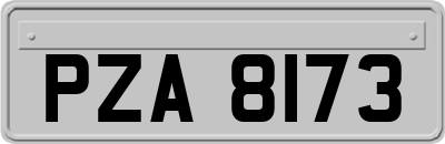 PZA8173