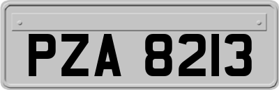 PZA8213