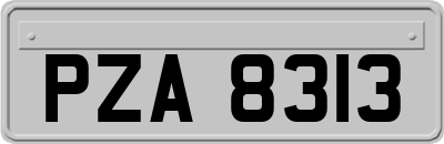 PZA8313