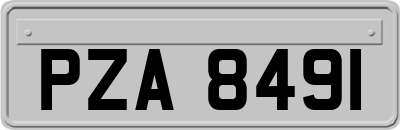PZA8491