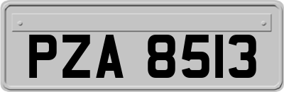 PZA8513