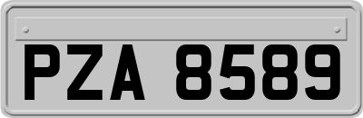 PZA8589