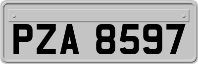 PZA8597