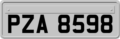 PZA8598