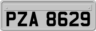 PZA8629