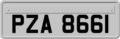 PZA8661