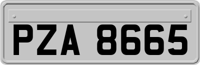 PZA8665