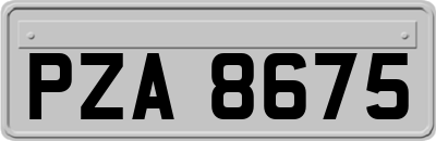 PZA8675