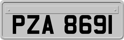 PZA8691