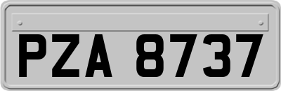 PZA8737