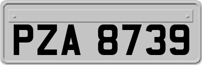 PZA8739