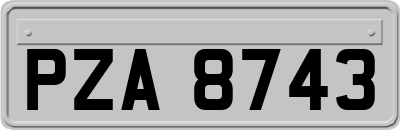 PZA8743